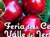 VIII Feria Cereza Valle Jerte