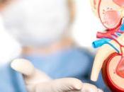 ¿Cuánto tiempo puede sobrevivir riñón?