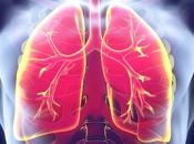Agentes inhalatorios efecto sobre asma