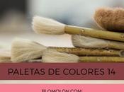 Paletas Colores