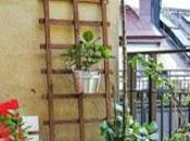 Balcones Rusticos