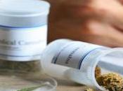 medicinal marihuana extiende mundo