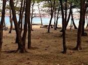 Mundial Medio Ambiente