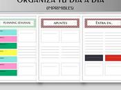 Organiza