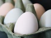 Consejos para Elegir Conservar Huevos Gallina