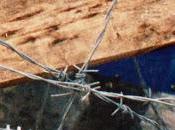 Harvey Ramy Essam estrenan 'The Camp', single benéfico niños desplazados Líbano