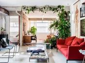 Ladrillo mucha vegetacion