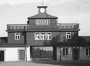 Buchenwald 2017