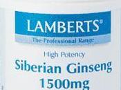 Ginseng siberiano para estrés