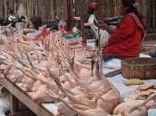 Luang Prabang, mercados coloristas todo tipo