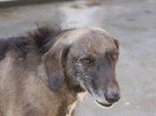 lado solidaridad cuestionado.