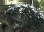 Nuevo vídeo Last Guardian... simpatía amor todo junto