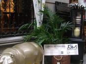 DecorAcción 2017