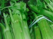 Apio Para Desintoxicar Organismo Adelgazar Varios Kilos