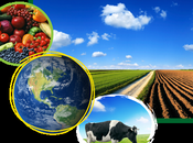 Diez novedades revolucionarán sector agroalimentario