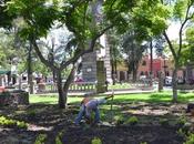 Rehabilitarán Jardín Colon otras áreas verdes