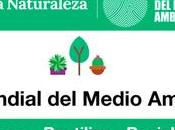 OeLeXear artículos segunda mano respiro medio ambiente
