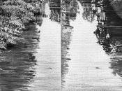 mejores libros Rafael Sánchez Ferlosio