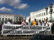 Namigran, agricultores Llerena protestan impagos