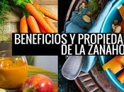 Propiedades Beneficios Zanahoria caracterí...