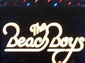 estilo Californiano Beach Boys