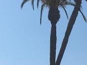 Árbol arriba