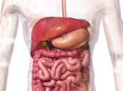 Isquemia intestinal