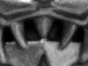 Pieza misteriosa Reivers armas sonicas?