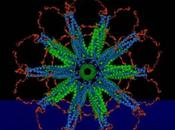 Nuevas vacunas desde nanotecnología