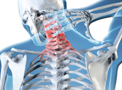 columna vertebral esencia nuestro cuerpo