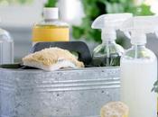 limpiadores caseros hogar: ¿son mejores químicos?
