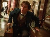 Animales fantásticos dónde encontrarlos empieza rodaje, desvela sinopsis elenco