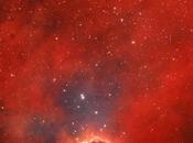 ✨Sharpless J.P. Metsavainio