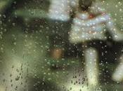 Heart Dog: mirada Anderson