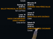 Lila López, fiasco avecina