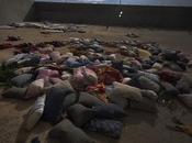 DOCfield Barcelona traslada otoño 2017 quinta edición festival fotografía documental