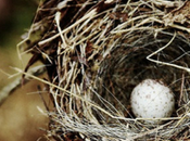 solo existe este instante