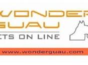 Wonderguau