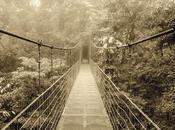 puentes caídos