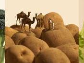 ‘Miniature calendar’, Tatsuya Tanaka, fabuloso mundo miniatura sorprende cada