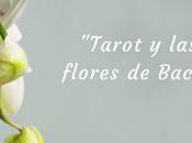 Tarot flores Bach