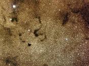 ✨B72 nebulosa Serpiente