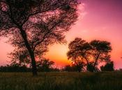 Lentes contacto para ojos secos