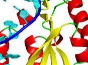 Resistencia antibióticos bacterias letales. ¿Cómo vuelven malas malísimas?
