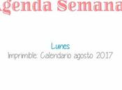 Agenda Semanal 31/07 6/08