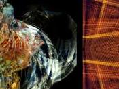 gira Italia “Gusto dell’Arte”