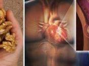 Esto pasa horas después comer nueces…