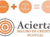 Equilibrio comercial Seguro credito