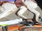 Tres neuquinos detenidos cuando cazaban guanaco