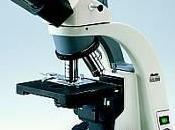 Manejo microscopio